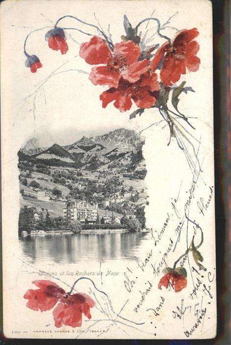 Rochers de Naye Blumen