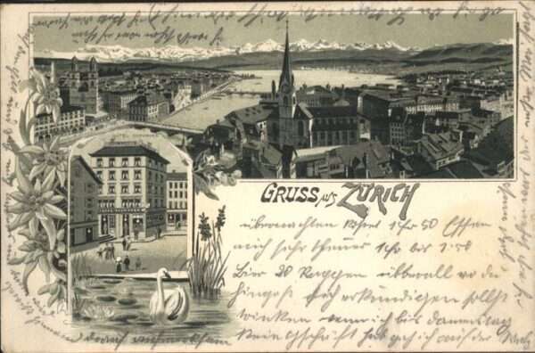 Zuerich Schwan Brücke