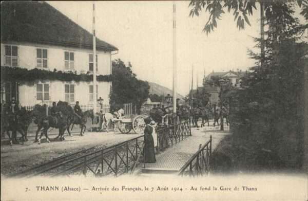 Thann Haut Rhin Elsass Pferde