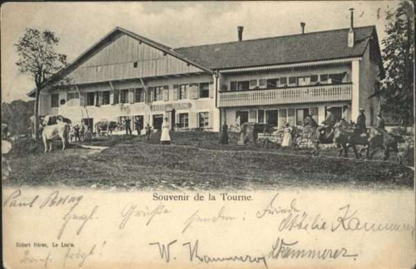 Le Tourne Kühe Pferd