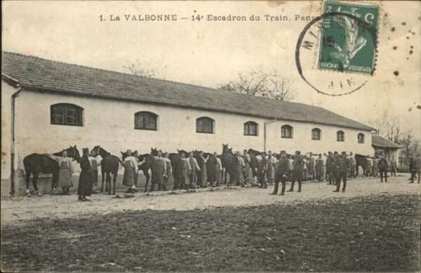 La Valbonne Pferde