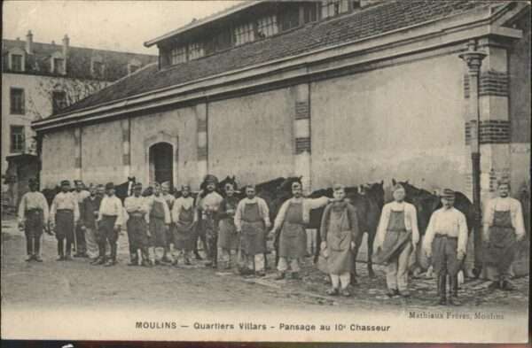 Moulins Allier Quartier Villars Pferde