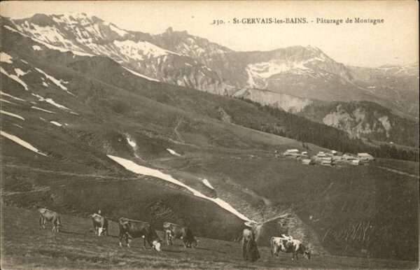 Saint-Gervais-les-Bains Paturage de Montagne