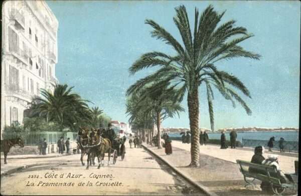Cannes Alpes-Maritimes La promenade de la croisette