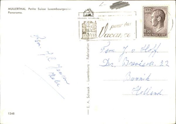Mullerthal Petite Suisse Panorama – Bild 2