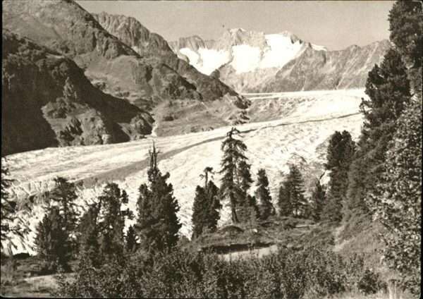 Kuesnacht Blaukreuzjugendwerk
Aletschgletscher