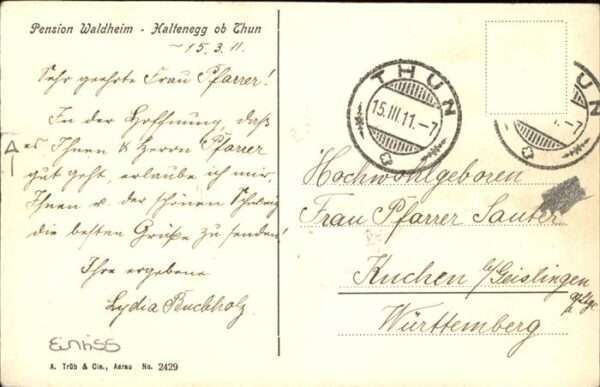 Haltenegg Thun Pension Waldheim – Bild 2