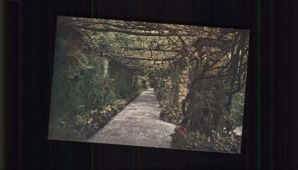 La Mortola Coin du Jardin