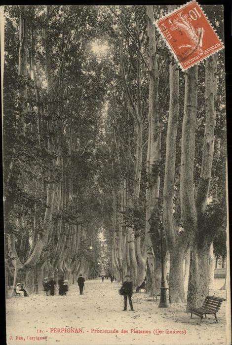 Perpignan Promenade des Platanes