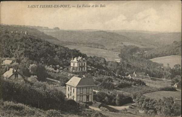 Saint-Pierre-en-Port Vallee les Bois