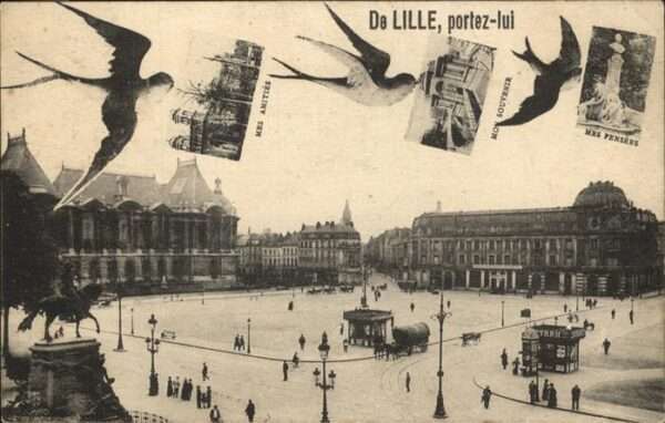 Lille Nord Brieftauben Mes Pensens
