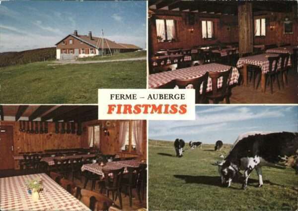 Muenster Haut Rhin Elsass Ferme Auberge Firstmiss Kühe