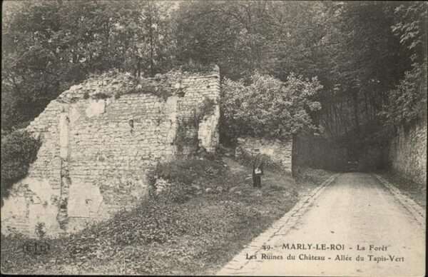 Marly-le-Roi La Foret Ruines du Chateau, Allee Tapis