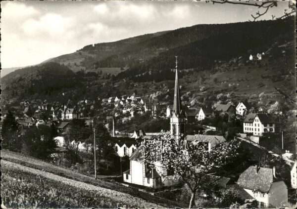 Sondernach Haut-Rhin vue generale