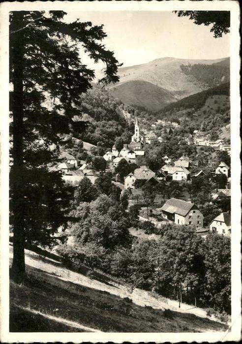 Linthal Elsass Vue generale