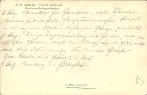 Adelboden Weg nach Schemlanne – Bild 2