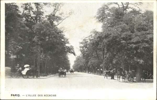 Paris Allee des Accacias