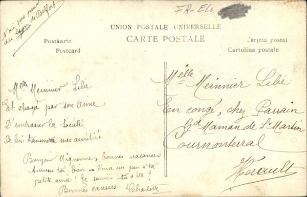 Elsass Lorraine Oiseaux  Flugzeug Löwe – Bild 2
