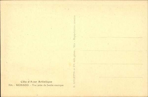 Kakteen Monaco – Bild 2