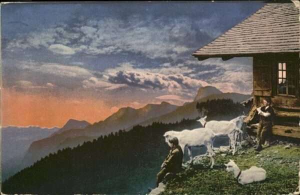 Ziege