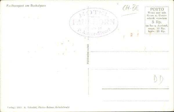 Esel Tiere Faulhornpost Bachalpsee – Bild 2