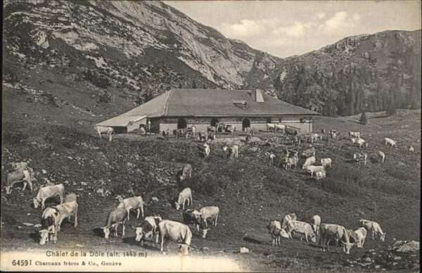 Kuehe Chalet Dole