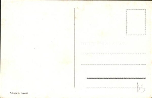 Sennhuetten Kühe – Bild 2