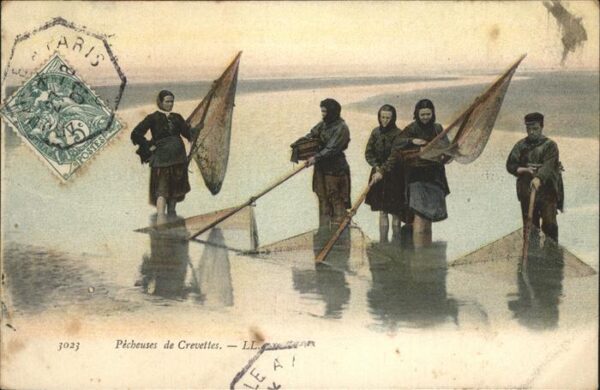 Fischerei Pecdeuses Crevettes