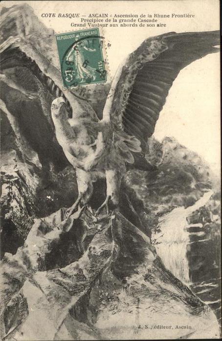 Adler Eagle Aigle Aguila Cote Basque Ascain