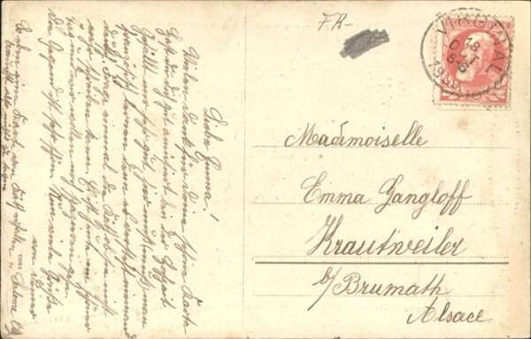 Brieftaube Carrier Pigeon voyageur – Bild 2