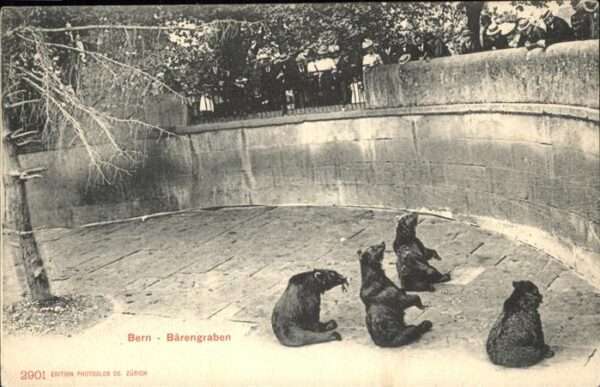 Baeren Bärengraben Bern