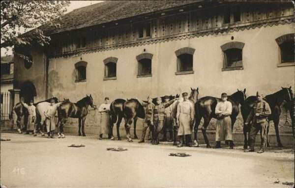 Militaria Pferde