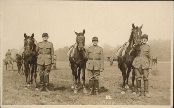 Militaria Pferde