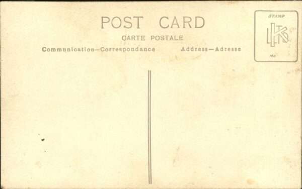 Militaria Pferde – Bild 2