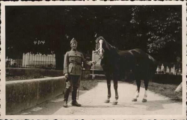 Militaria Pferd