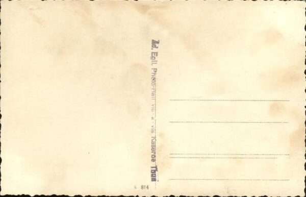 Militaria Pferd – Bild 2