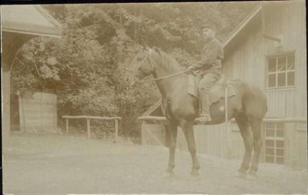 Militaria Pferd