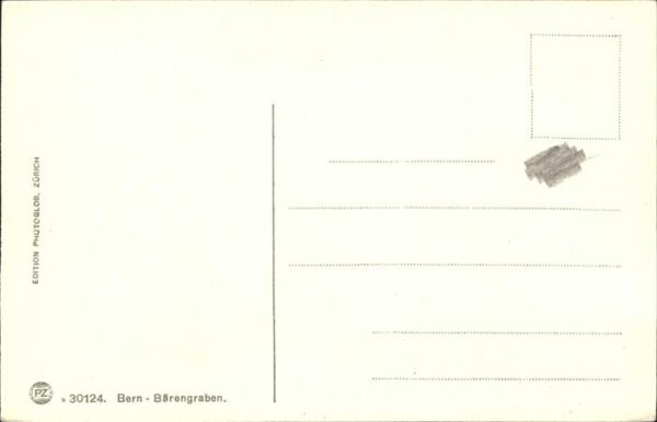 Baeren Bärengraben Bern Brunnen – Bild 2