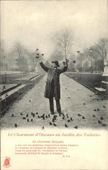 Voegel Charmeur Oiseaux Jardin Tuileries