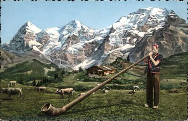 Alphorn Schafe