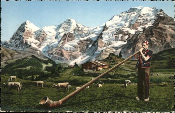 Alphorn Schafe