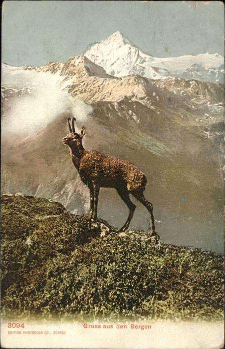 Steinbock