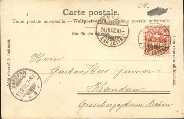 Bern BE Bernerkinder – Bild 2