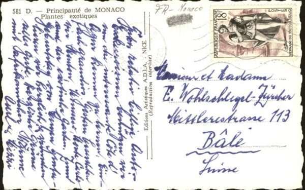 Kakteen Monaco – Bild 2