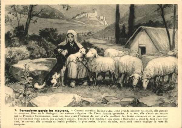 Schafe Bernadette garde les moutons Hund