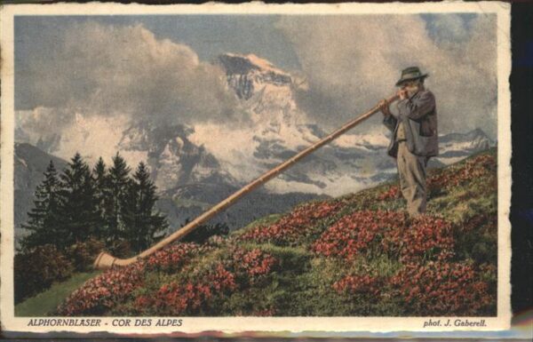 Alphorn