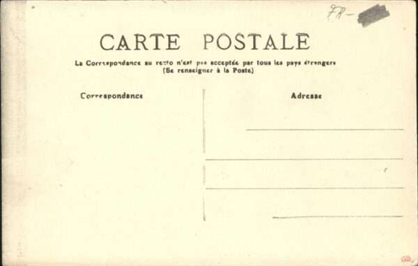 Bourbonnais Kühe – Bild 2