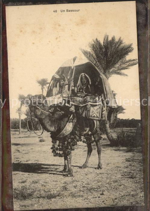 Kamel  Camel Chameau Typen un Bassour