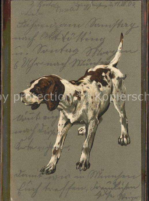 Hunde