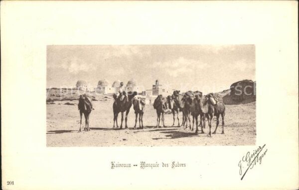 Kairouan Qairawan Mosquee des Sabres Kamele